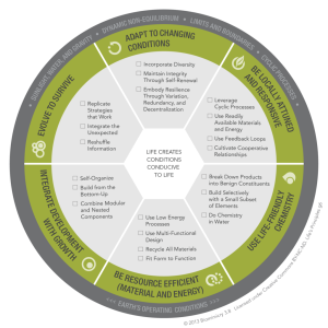 Biomimicry Life's Principles