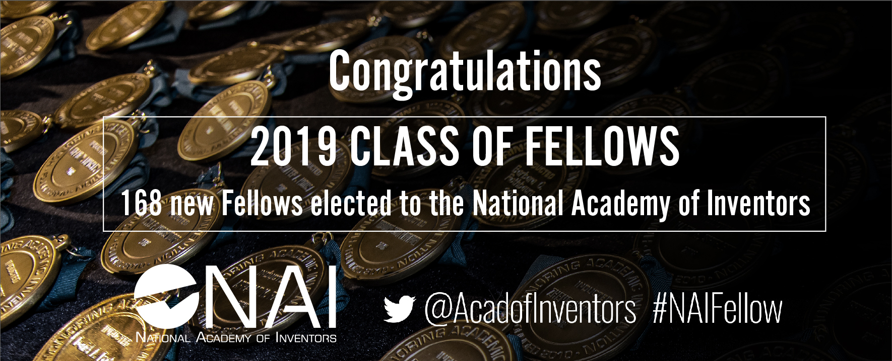 NAI Fellows 2019