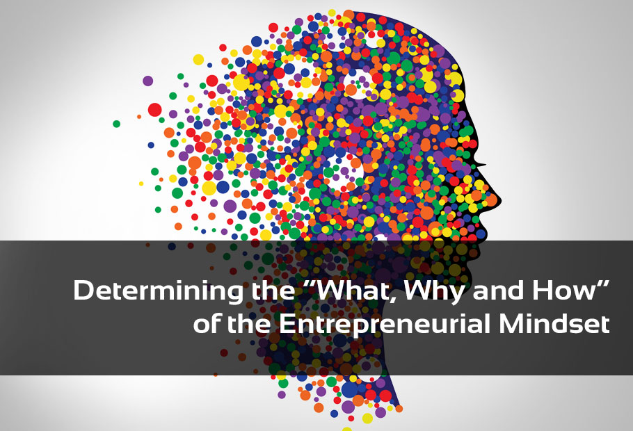 Determining the What, Why, and How of Entrepreneurial Mindset