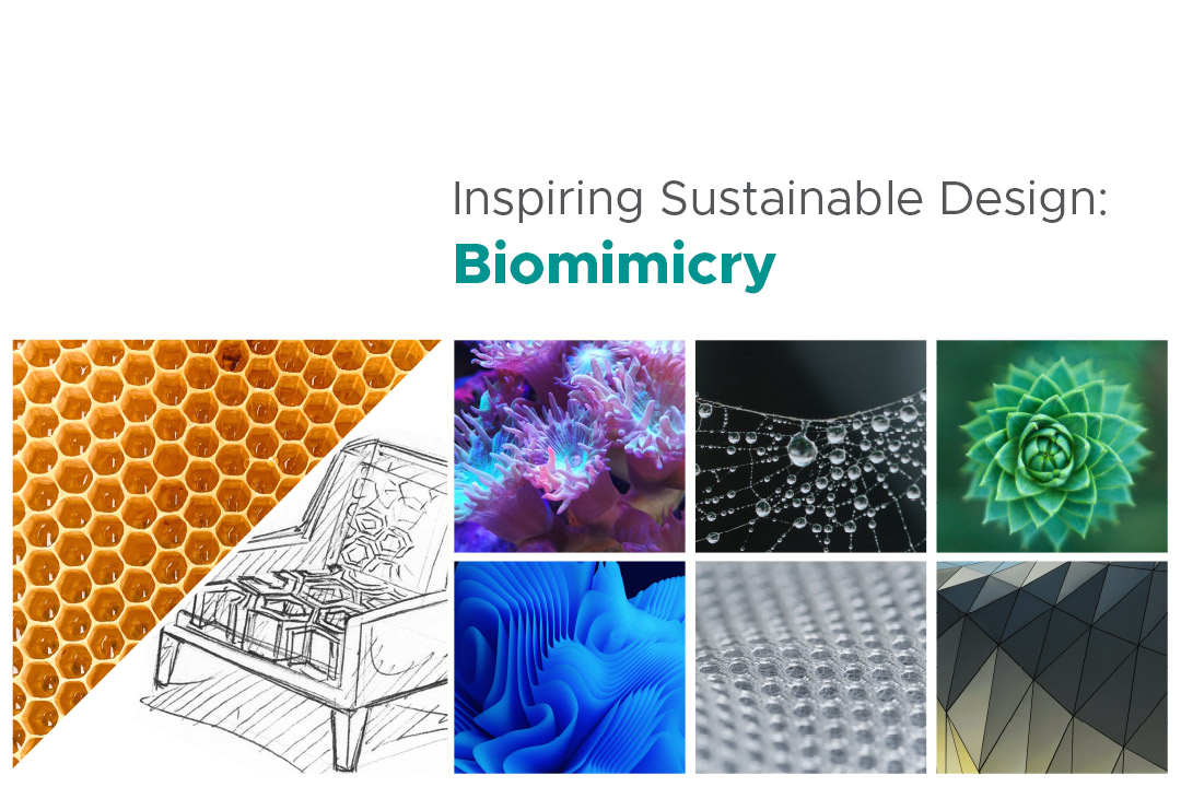 Biomimicry; images of honeycomb and other patterns in nature, chair sketch with honeycomb pattern in seat