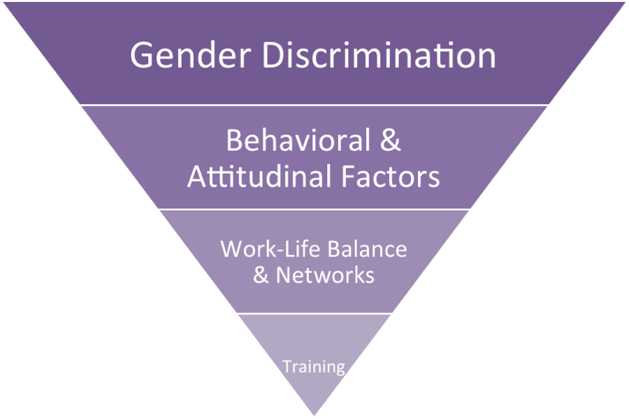 bias in stem